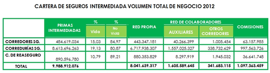 Informe 2013 DGSFP