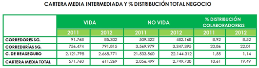 Informe 2013 DGSFP