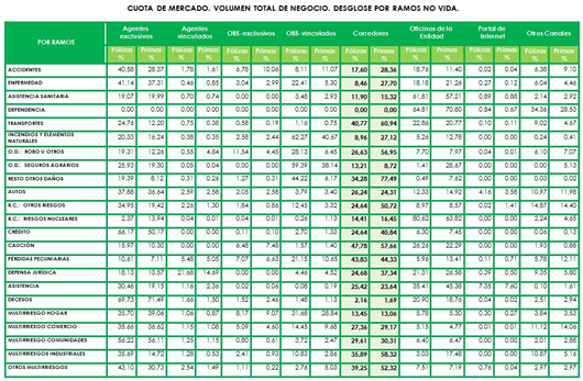 Informe 2013 DGSFP