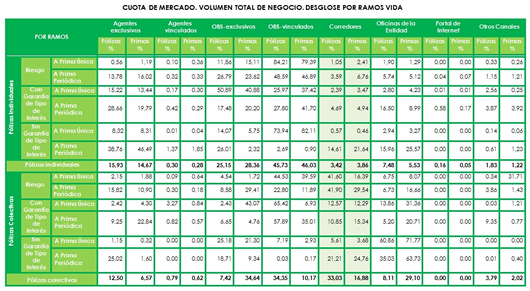 Informe 2013 DGSFP