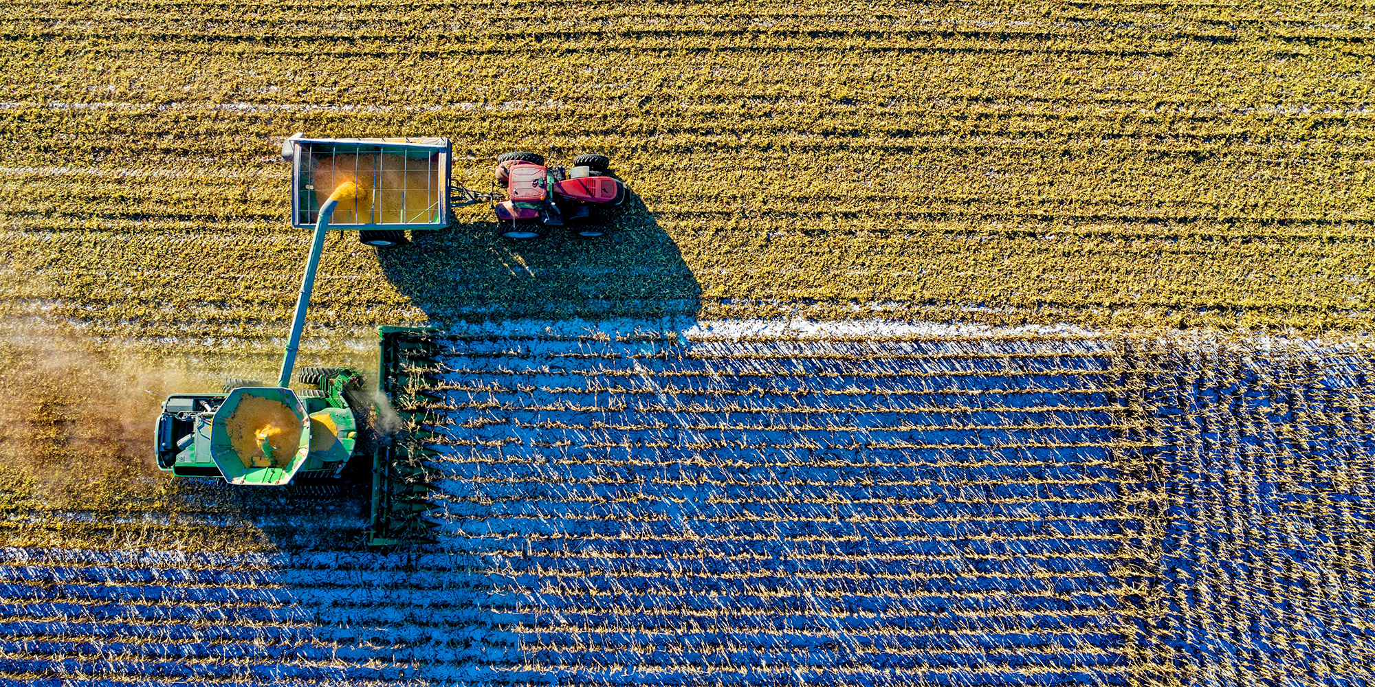 El seguro agropecuario gana relevancia ante el aumento de siniestros. Foto de Tom Fisk: https://www.pexels.com/es-es/foto/vista-superior-del-campo-verde-1595104/